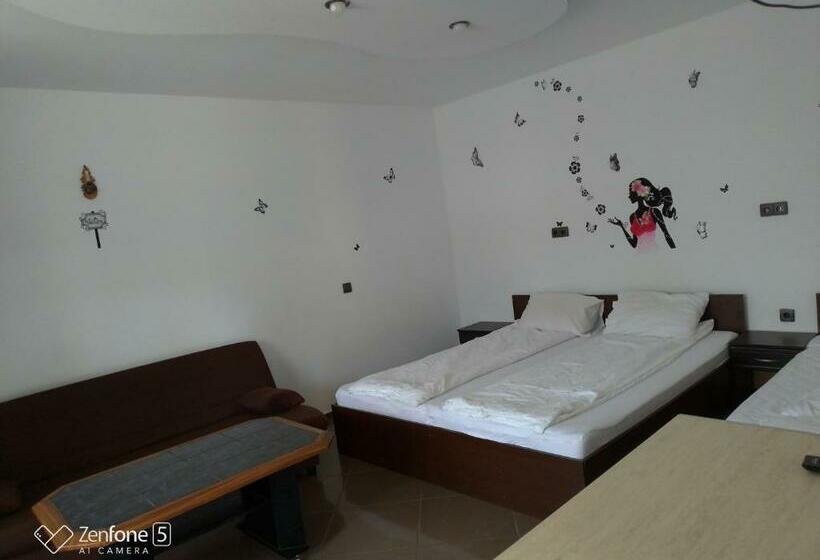 פנסיון Sibiu 33