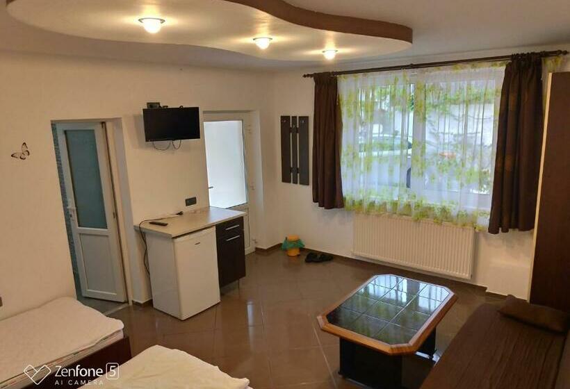 פנסיון Sibiu 33