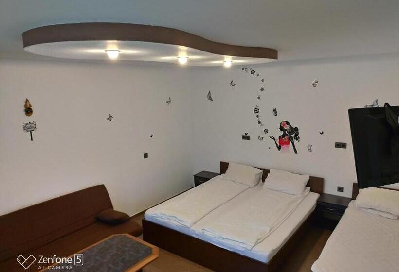 פנסיון Sibiu 33