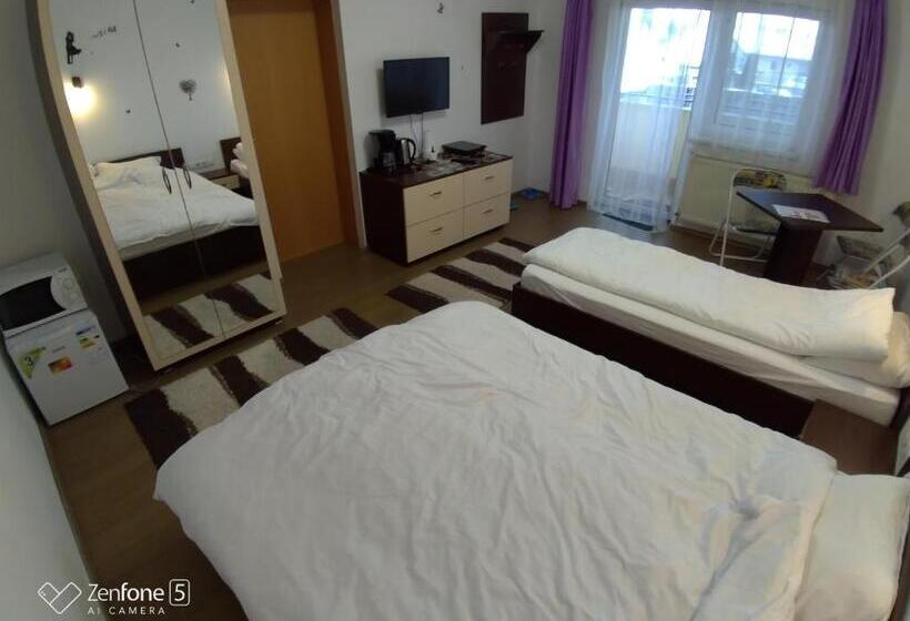 פנסיון Sibiu 33