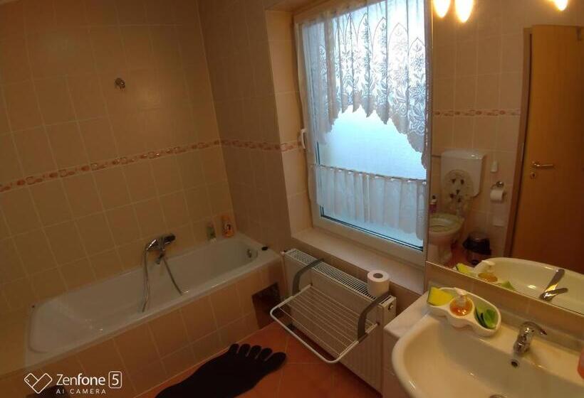 פנסיון Sibiu 33