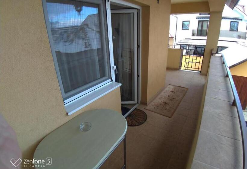 פנסיון Sibiu 33