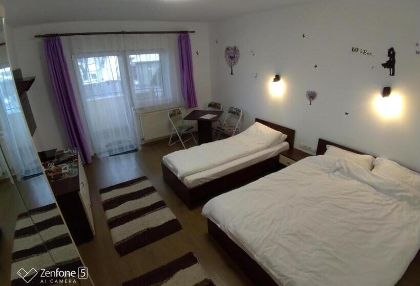 פנסיון Sibiu 33