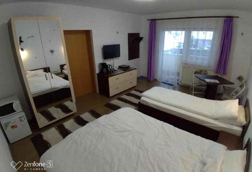 פנסיון Sibiu 33