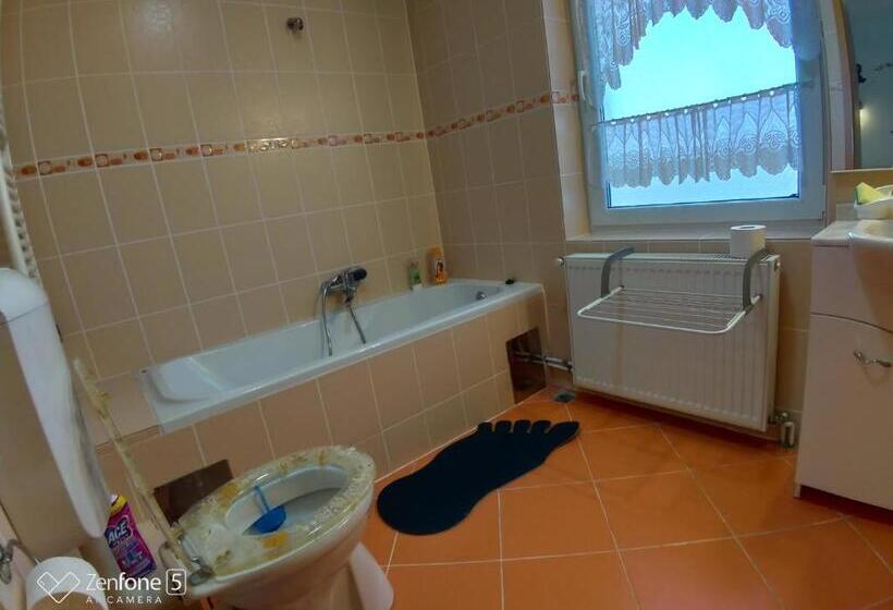 פנסיון Sibiu 33