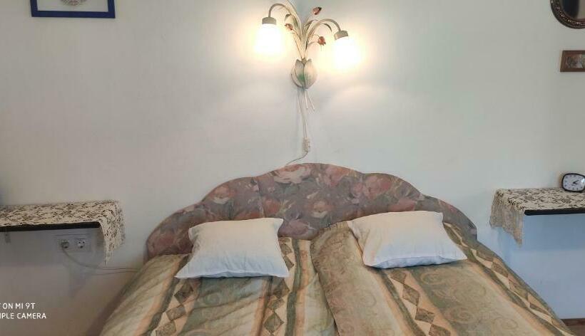 膳宿费 Teréz Háza