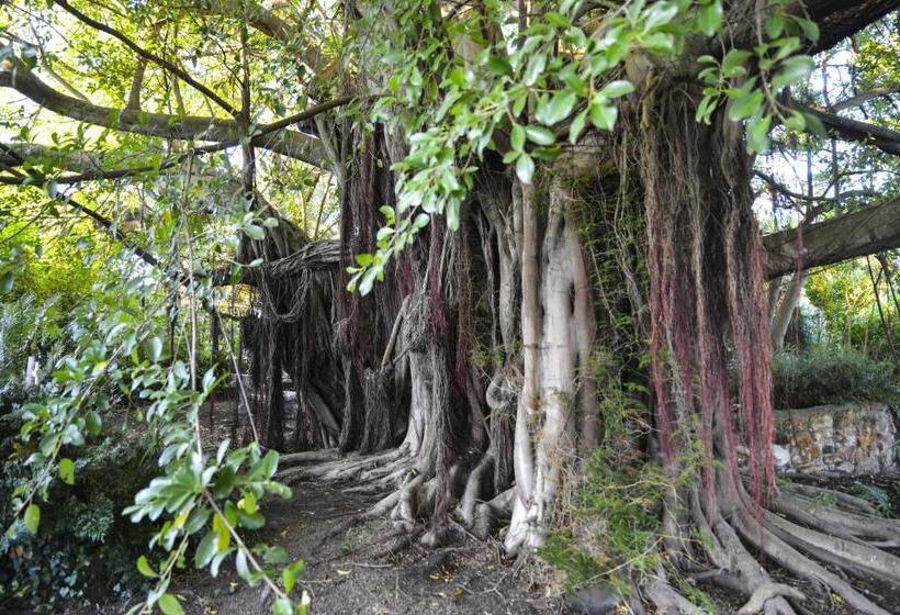 פנסיון Voelroepersfontein