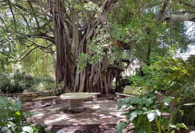 פנסיון Voelroepersfontein