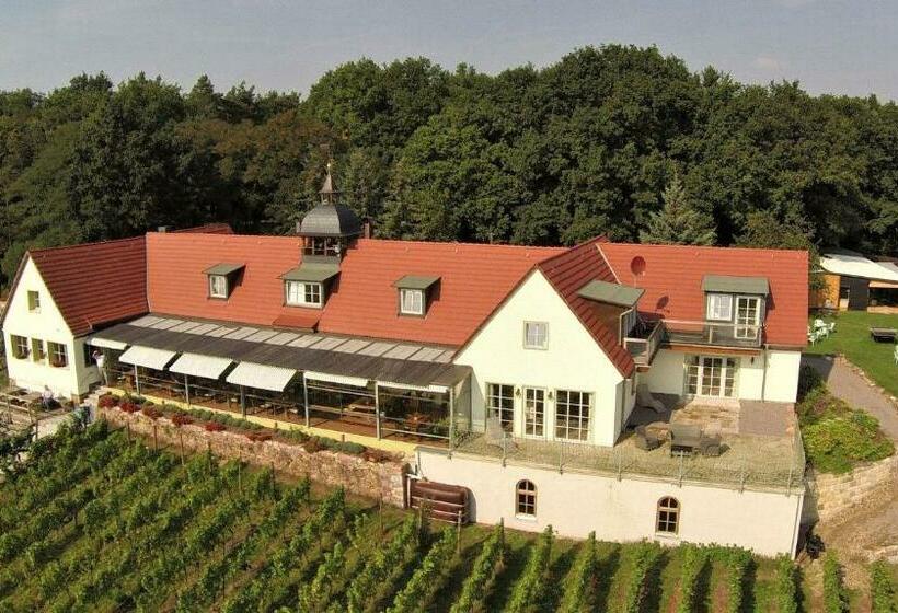 Pension Bella Vista   Winzerhof Golk