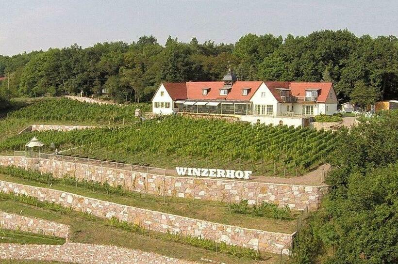 Pension Bella Vista   Winzerhof Golk