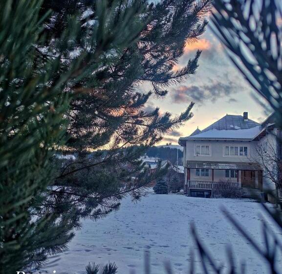Pensiunea Cristiana Bucovina
