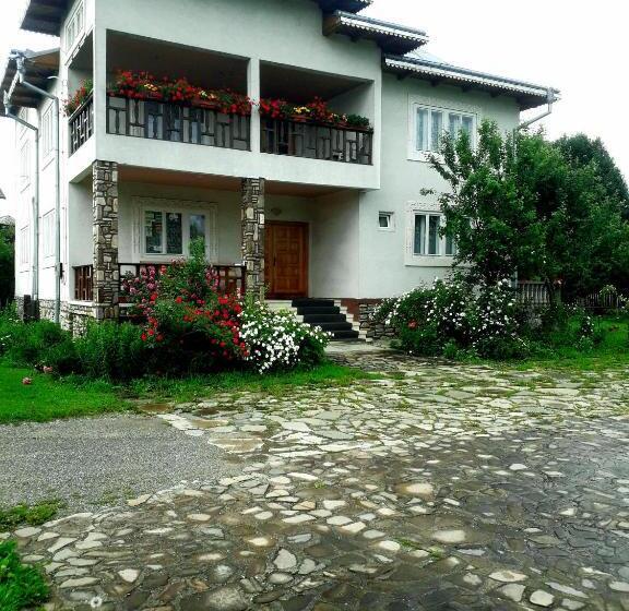 Pensiunea Cristiana Bucovina