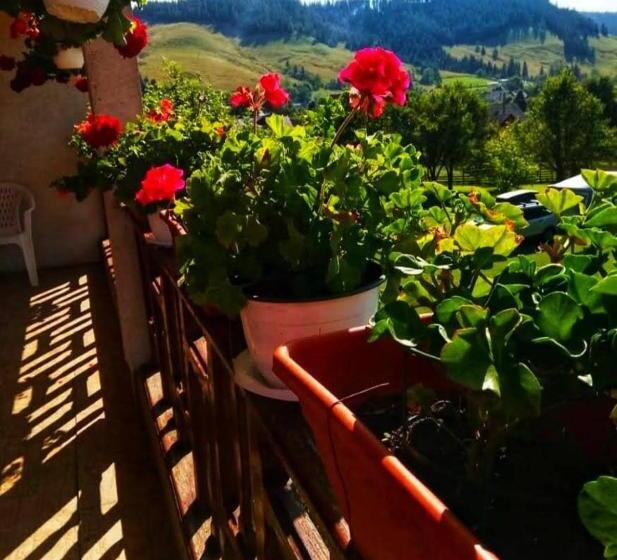 Pensiunea Cristiana Bucovina