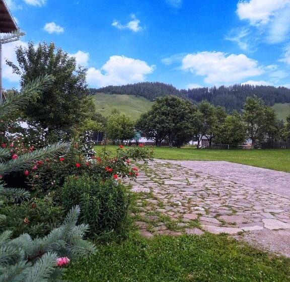 Pensiunea Cristiana Bucovina