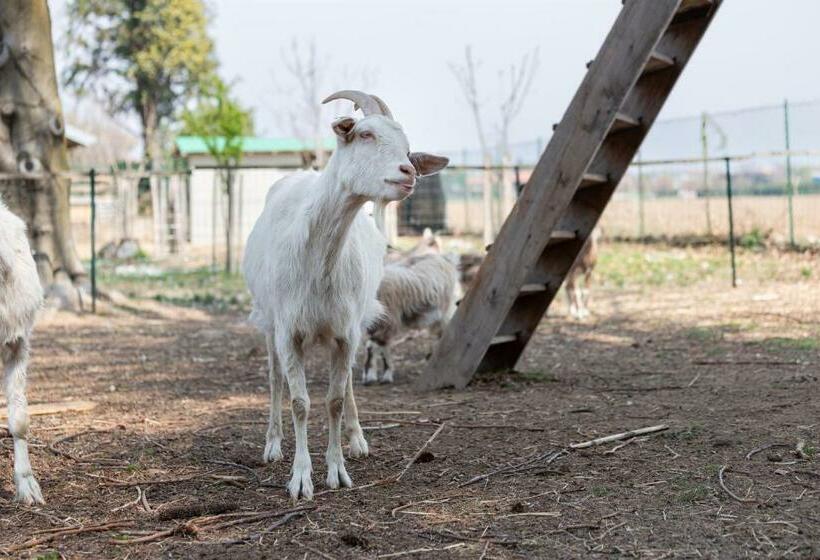 مبيت وإفطار Cascina Cattabreghetta