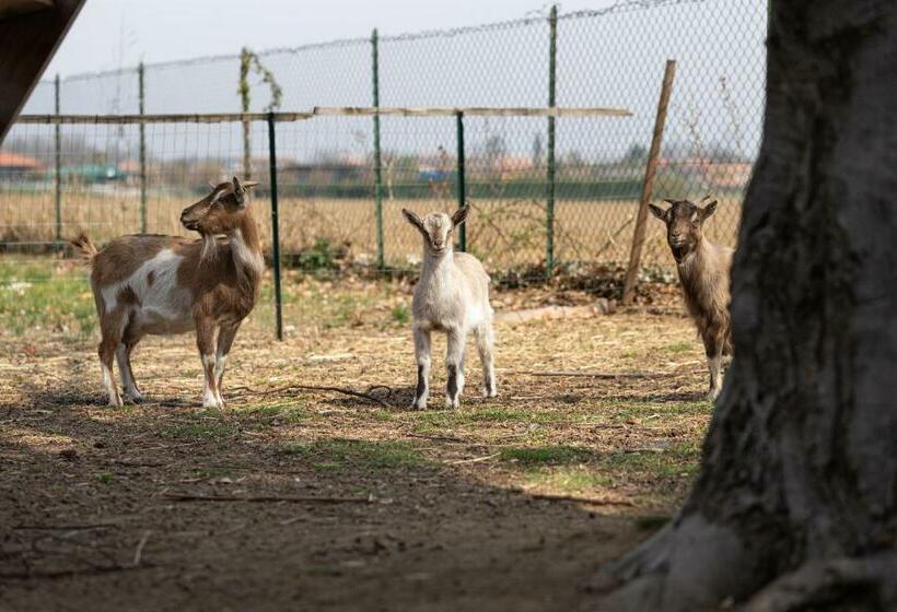 مبيت وإفطار Cascina Cattabreghetta