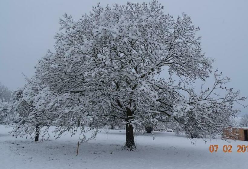 Chambres D Hôtes Nature Et Bois Bed And Breakfast