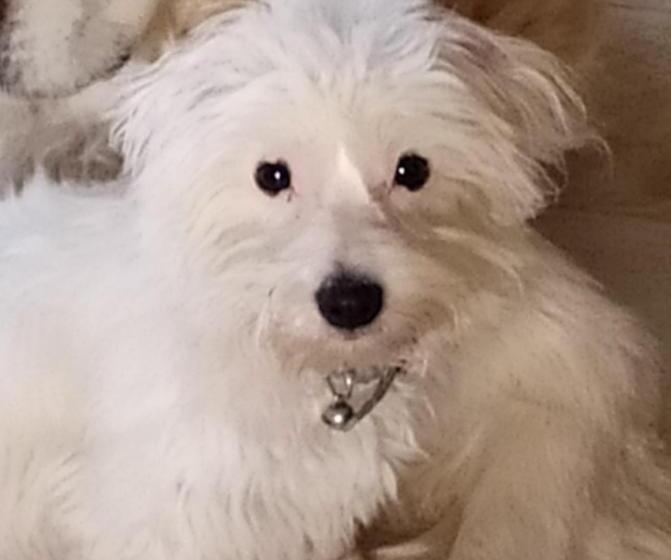 Chambres D Hôtes Nature Et Bois Bed And Breakfast