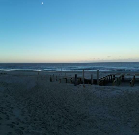 Bed and Breakfast De Vloedlijn