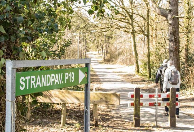 Bed and Breakfast Duin En Zee Texel