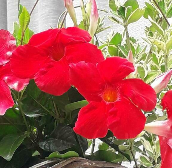 住宿加早餐  Il Borgo Dei Molini