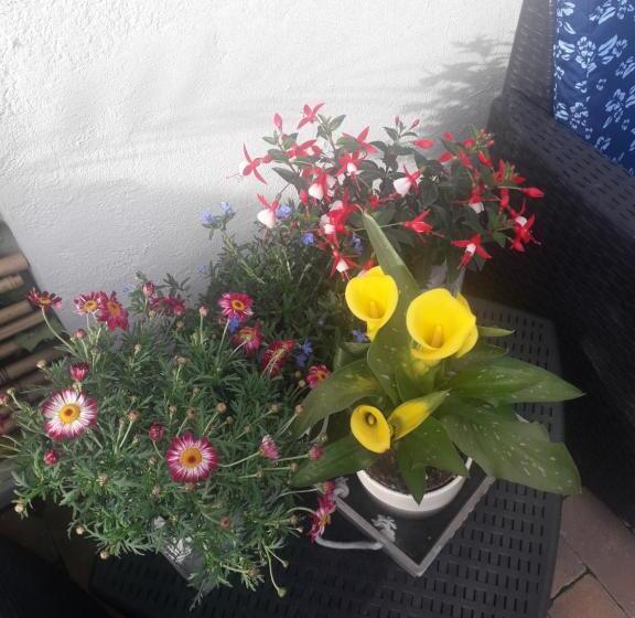 住宿加早餐  Il Borgo Dei Molini