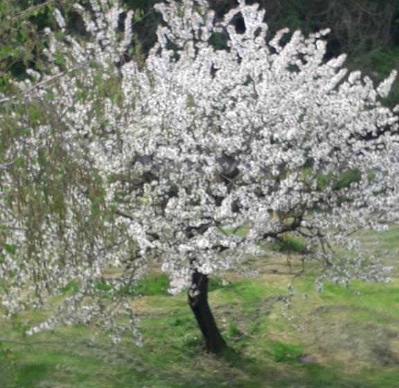 住宿加早餐  Il Borgo Dei Molini