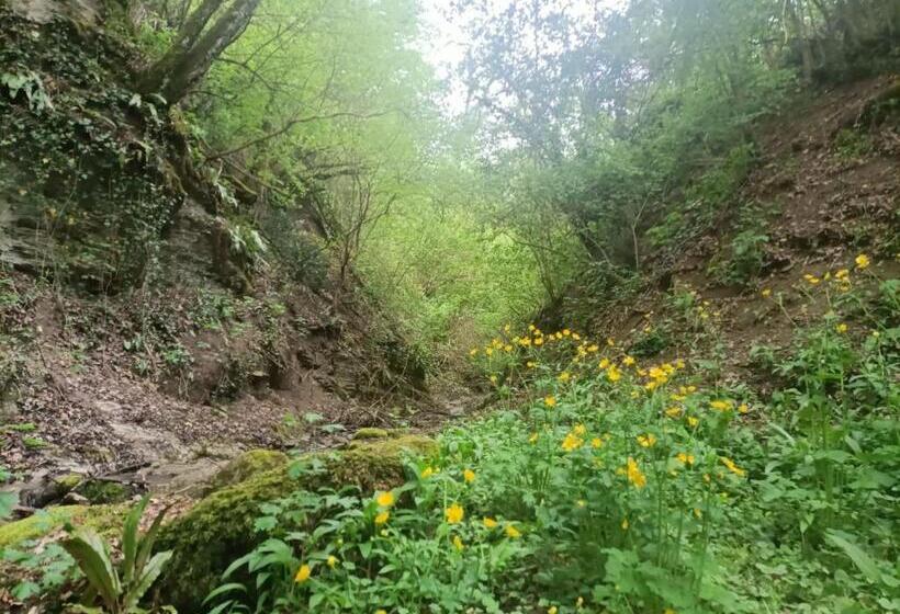 住宿加早餐  Il Borgo Dei Molini