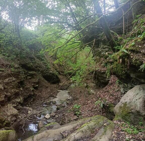 住宿加早餐  Il Borgo Dei Molini