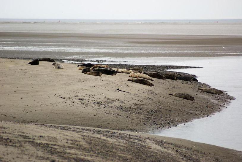 צימר La Longère De Suzanne