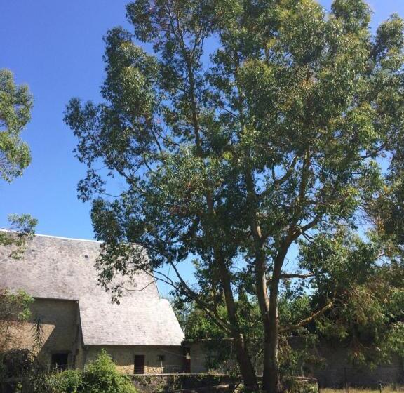 ベッドアンドブレックファースト Le Manoir Des Doyens