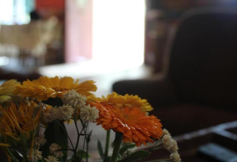 Bed and Breakfast Les Cremades