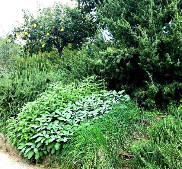 צימר Lo Sghimbescio