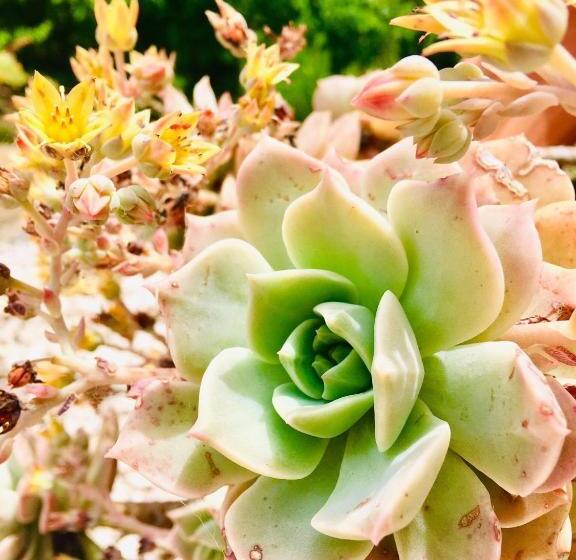 ベッドアンドブレックファースト Quinta Quatro Ventos