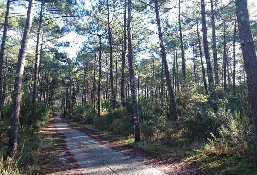 تختخواب و صبحانه Un Matin D’été