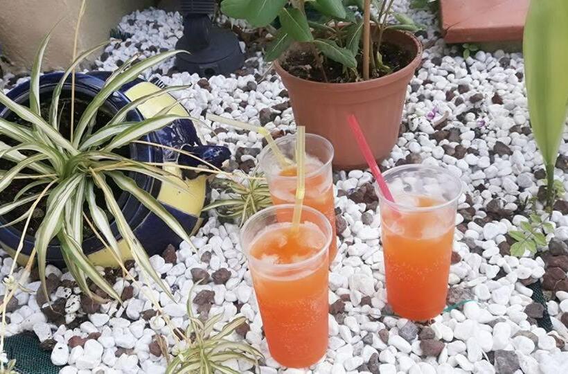 مبيت وإفطار Villa Milici