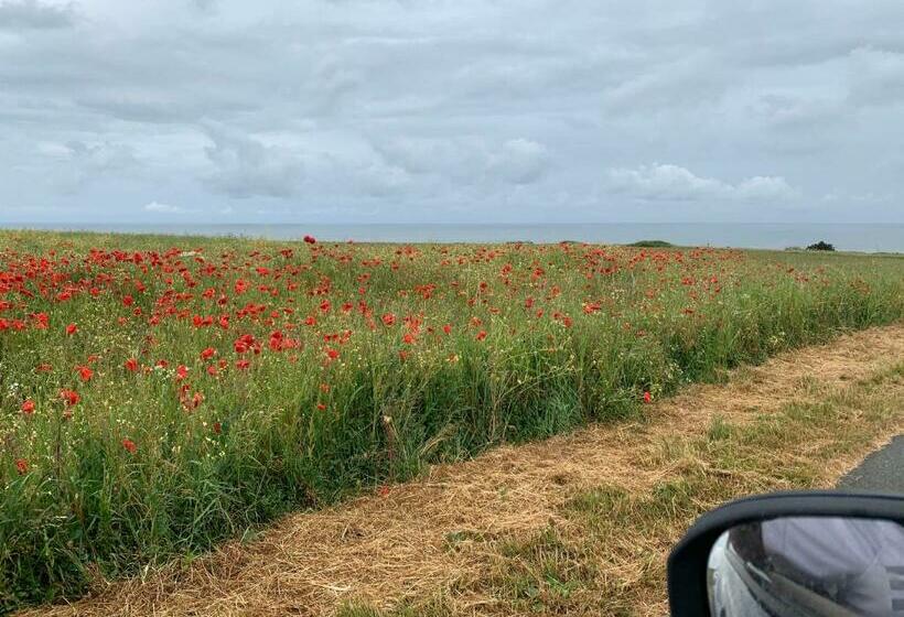 Bed and Breakfast Villa Omaha