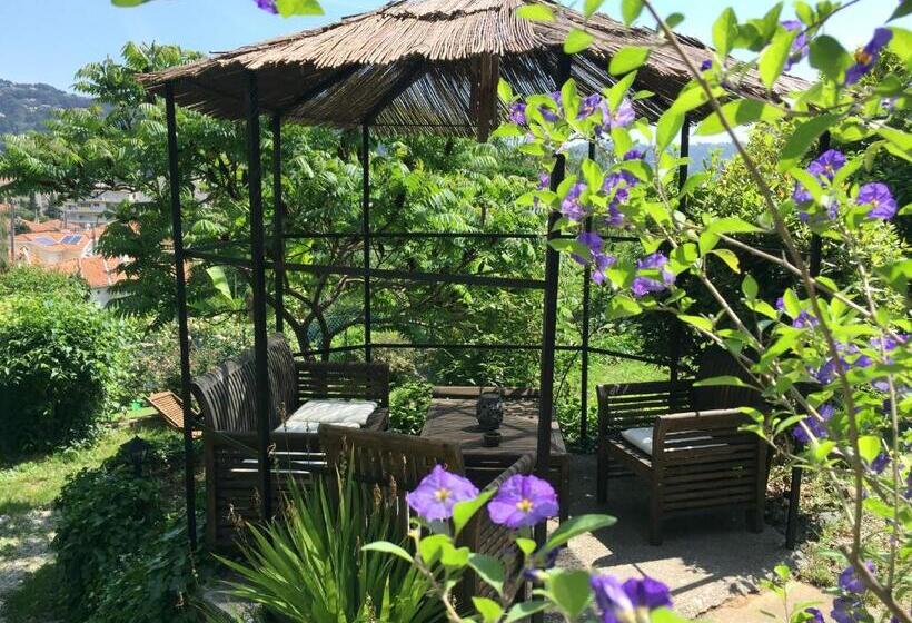 Bed & Breakfast Chambres D Hôtes Cottage Bellevue