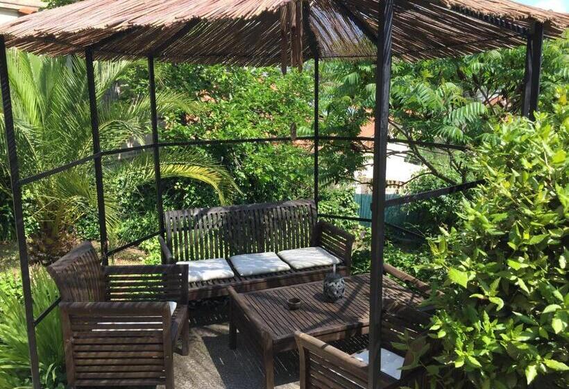 Bed & Breakfast Chambres D Hôtes Cottage Bellevue