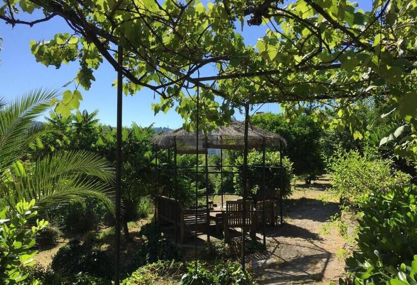 Bed & Breakfast Chambres D Hôtes Cottage Bellevue