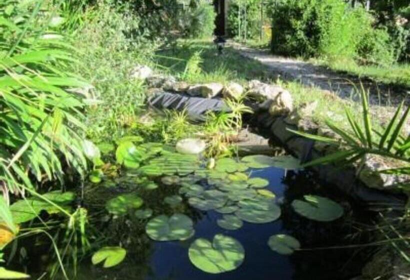 Bed & Breakfast Chambres D Hôtes Cottage Bellevue