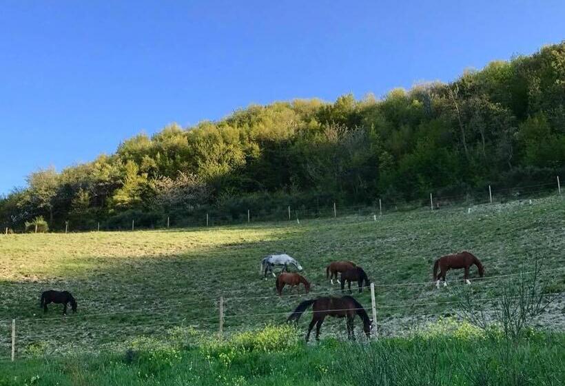 ホテル Agriturismo Le Cannelle Spa & Day Wellness