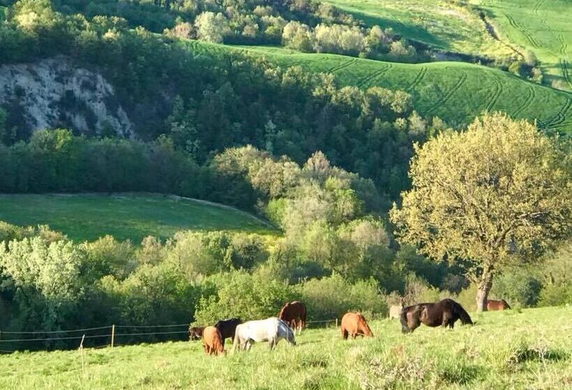 ホテル Agriturismo Le Cannelle Spa & Day Wellness