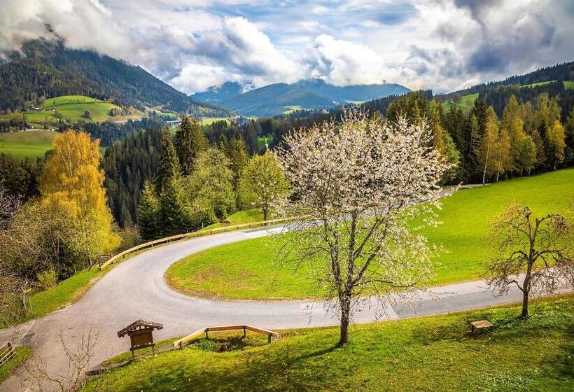 فندق Vordersattlegghofhütte