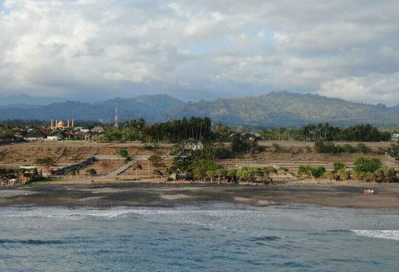 بنسيون The Nyamo Surf & Stay