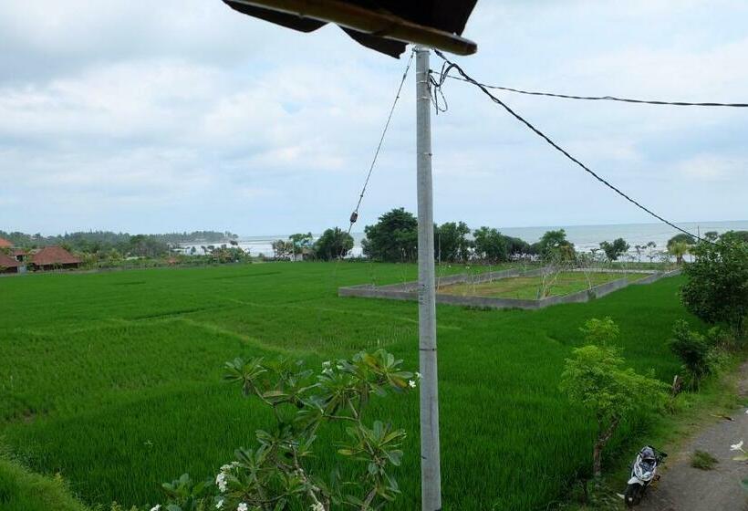 بنسيون The Nyamo Surf & Stay