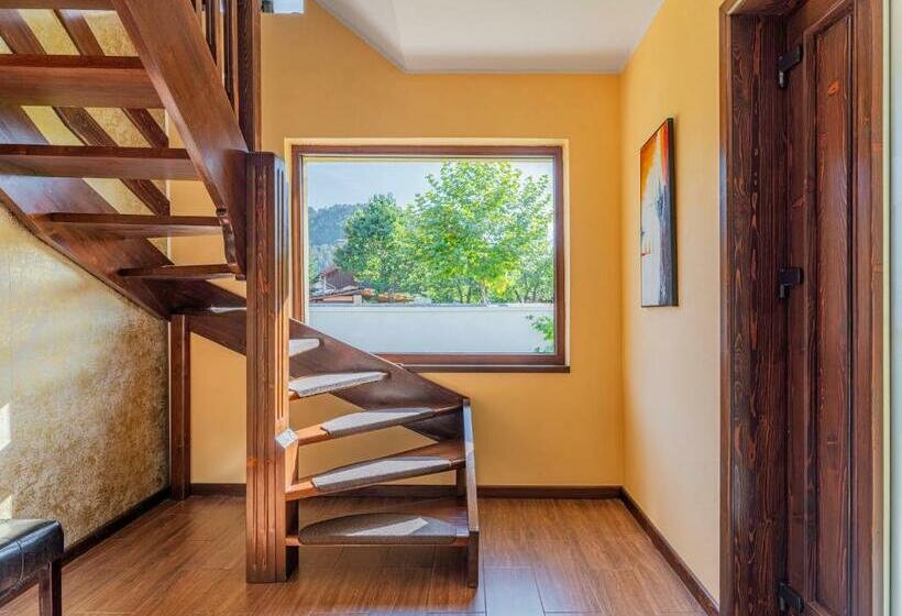 膳宿费 Casa Saraste