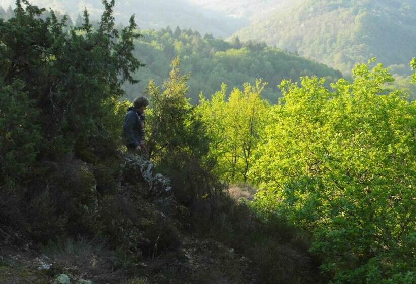 Пансион Chez Claire