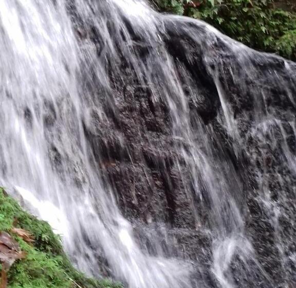 Пансион Chez Claire