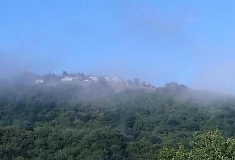 Пансион Chez Claire